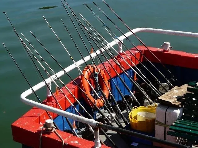 Arundel House Bed & Breakfast